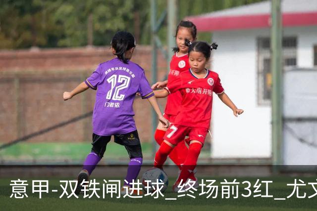 意甲-双铁闸进球 终场前3红 尤文2球落后2-2战平