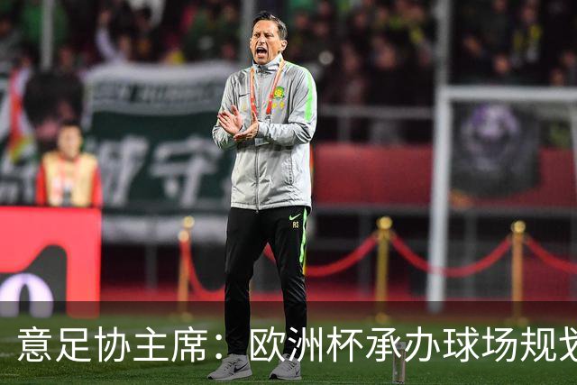 意足协主席：欧洲杯承办球场规划应更科学，将全力保障青训经费