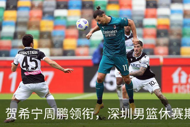 贺希宁周鹏领衔，深圳男篮休赛期合同到期的球员盘点